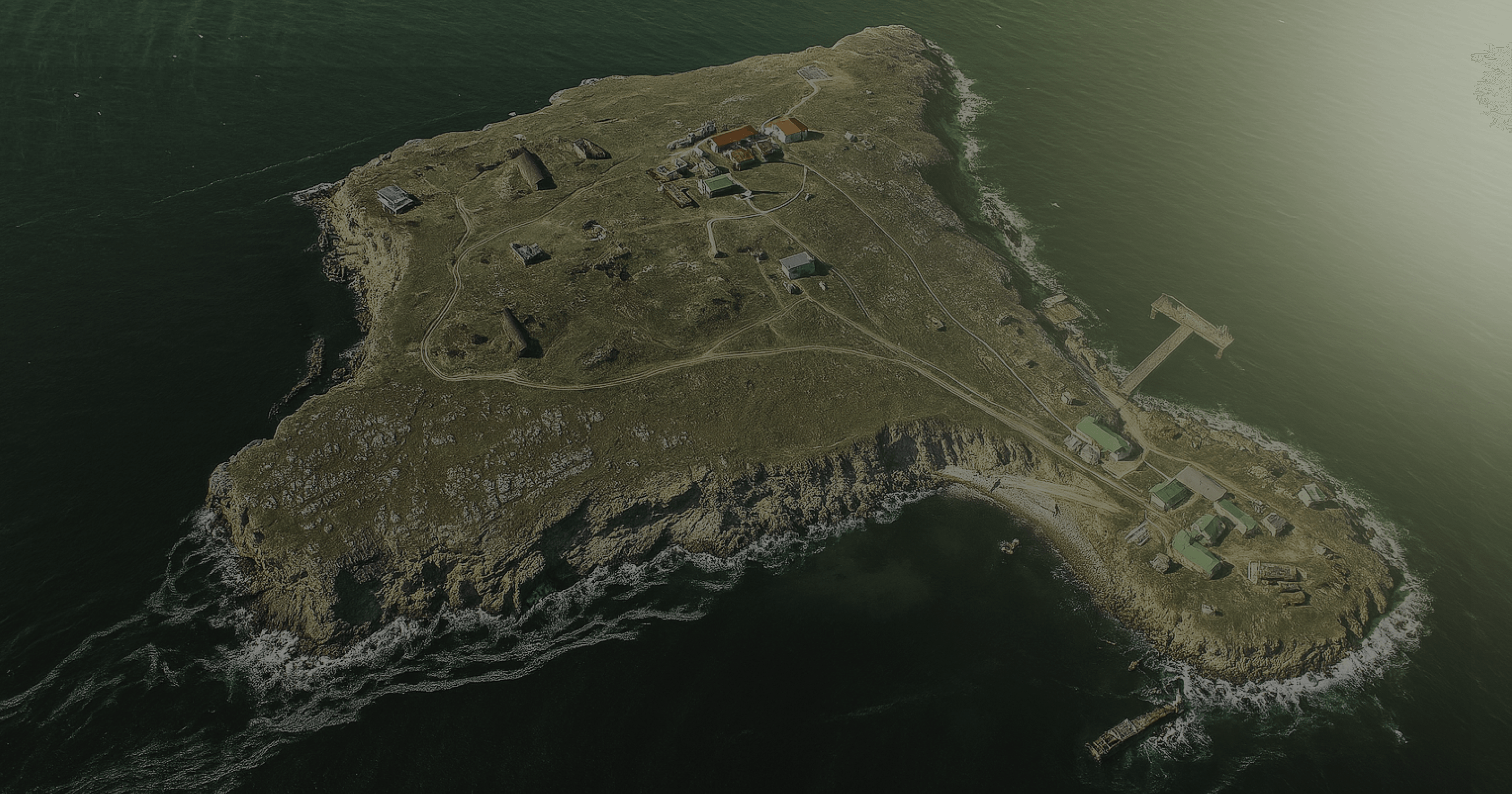 Snake Island Institute